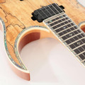 B Stock : BC Rich Prophecy Series Shredzilla Exotic Archtop Electric Guitar with Floyd Rose in Spalted Maple - 001 - B-SZA624FRS-0001 (11).jpg