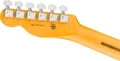 Fender American Professional Telecaster Electric Guitar in 3-Colour Sunburst, Rosewood Fingerboard - 0111140700 (2).jpg