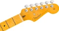 Fender American Professional Stratocaster Electric Guitar in Black, Maple Fingerboard - 0111112706 (2).jpg