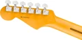 Fender American Professional Stratocaster Electric Guitar in Black, Maple Fingerboard - 0111112706 (1).jpg