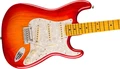 Fender American Professional Stratocaster Electric Guitar in Aged Cherry Burst, Maple Fingerboard - 0111112731 (2).jpg