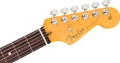 Fender American Professional Stratocaster Electric Guitar in Black, Rosewood Fingerboard - 0111110706 (6).jpg