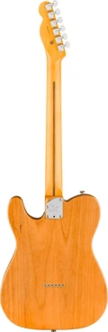 Fender American Professional Telecaster Electric Guitar in Natural, Rosewood Fingerboard - 0111140721 (2).jpg