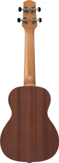 Ibanez UKS100-OPN Soprano Ukulele with Gig Bag in Open Pore Natural - UKS100-OPN (1).jpg