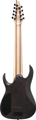 Ibanez RG9PB-TGF RG 9-String Electric Guitar in Transparent Grey Flat - RG9PB-TGF (9).jpg