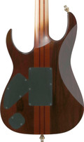 Ibanez IV1RG Custom Shop Visions Electric Guitar - IV1RG (4).jpg
