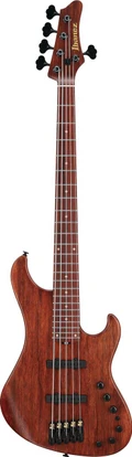 Ibanez Visions IV2MDM Mode Series 5-String Bass Guitar in Natural - IV2MDM (4).jpg