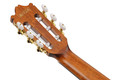 Ibanez GA5TCE3Q-AM GA Series Classical Electro Acoustic Guitar in Amber High Gloss - GA5TCE3Q-AM (6).jpg