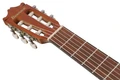 Ibanez GA3ECE-OAM GA Series Electro Acoustic Classical Guitar in Open Pore Amber - GA3ECE-OAM (10).jpg
