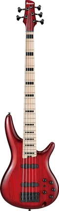 Ibanez ANB205-TWB Adam Nitti Signature 5-String Bass Guitar in Transparent Red Burst - ANB205-TWB (9)-2.jpg