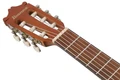 Ibanez GA2-OAM GA Series 3/4-Size Classical Guitar in Open Pore Amber - GA2-OAM (11).jpg