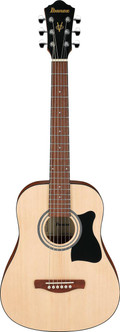 Ibanez AEGB25E-TKH Electro Acoustic Bass Guitar in Transparent Black Sunburst High Gloss - AEGB25E-TKH (1).jpg
