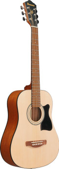 Ibanez AEGB25E-TKH Electro Acoustic Bass Guitar in Transparent Black Sunburst High Gloss - AEGB25E-TKH (5).jpg