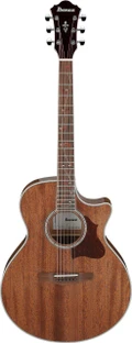 Ibanez AE245-NT AE Series Electro Acoustic Guitar in Natural High Gloss - AE245-NT (13).jpg