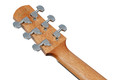 Ibanez AAM50CE-CRO Advanced Electro Acoustic in Coral Red Burst Open Pore - AAM50CE-CRO (11).jpg