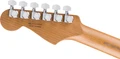 Fender Limited Edition American Ultra II Roasted Ash Stratocaster HSS in Natural - 0179152721_fen_ins_hbk_1_nr.jpg