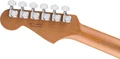 Fender Limited Edition American Ultra II Roasted Ash Stratocaster in Natural - 0179142721_fen_ins_hbk_1_nr.jpg