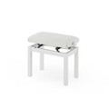 CASIO BG-30 Piano Bench in White - BG30-WHITE (1).jpg