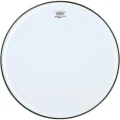 Remo Ambassador Snare Side 10" - 19655-SA011000_super.jpg