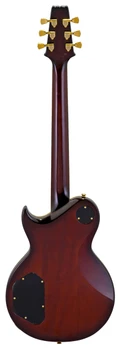 Aria PE-F80 Electric Guitar in Black Top - PE-F80-BKTP-pef80_bktp_back.jpg