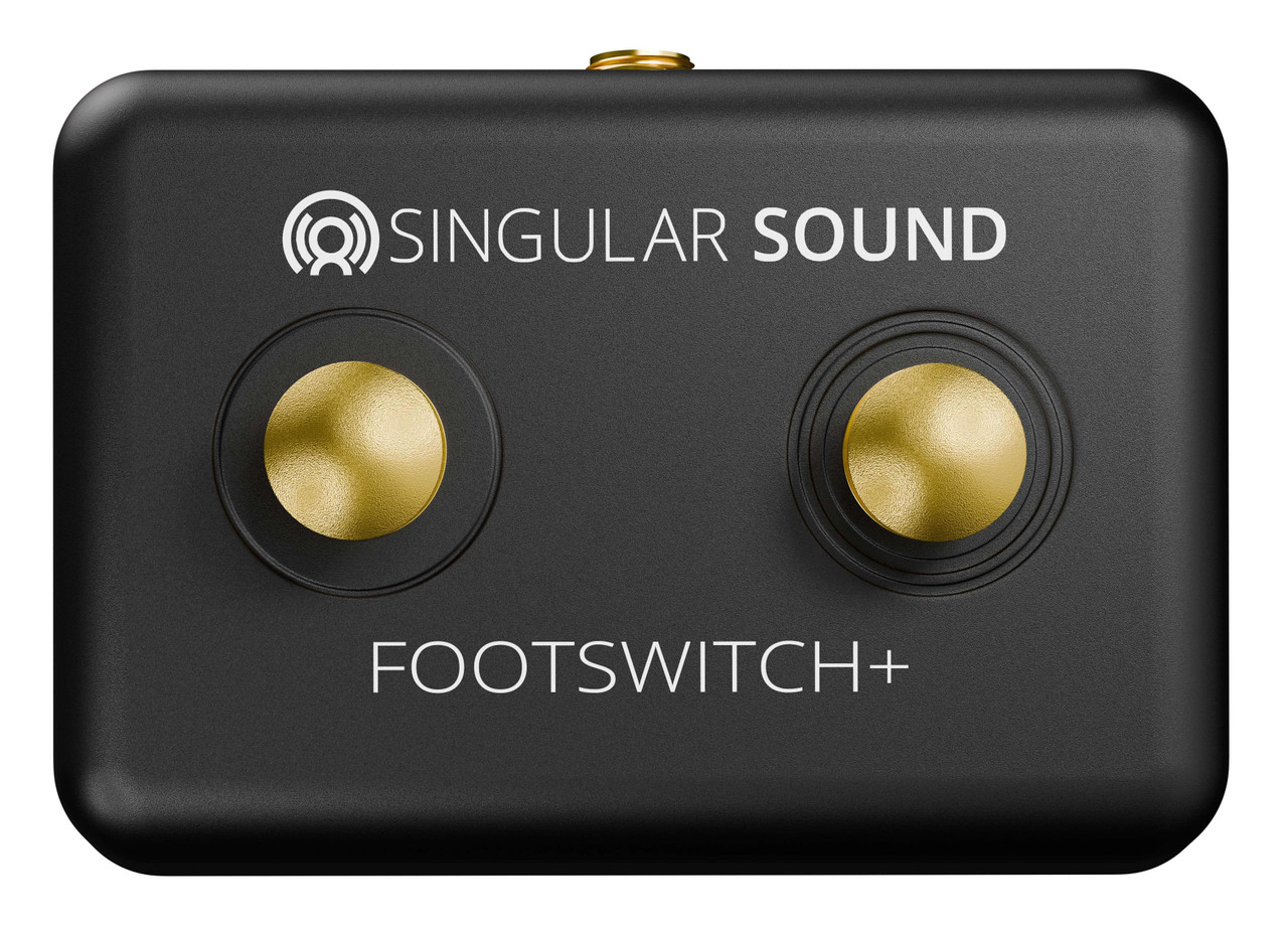 ギター Singular Sound BEATBUDDY MINI/FOOTSWITCH Singular Sound BeatBuddy Footswitch+ - Andertons Music Co