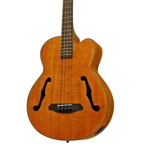 Aria FEB-F2M Electro Acoustic Bass in Stained Brown - FEB-F2M-STBR-Aria-FEB-F2M-Electric-Acoustic-Bass-in-Stained-Brown-close.jpg