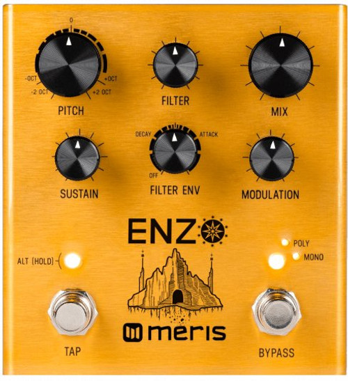 Meris Enzo Synthesizer Pedal - 326089-Meris-Enzo-Front-Controls-489x535.jpg