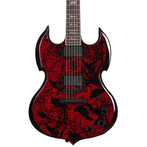 Wylde Audio Barbarian in Blood Raven - SCH-GTR-4584SNT -  WA24110193  (2).jpeg