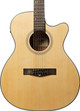 EastCoast G1CE Grand Auditorium Cutaway Electro-Acoustic Guitar In Natural - 347385-G1CE Satin Natural Front1.jpg