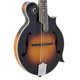 Loar Professional F-Style Mandolin in Vintage Sunburst - 442318-1619779650626.jpg