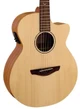 Faith Naked Series Venus Electro Acoustic Guitar with Gigbag - 286090-FKVawardlogo - Copy.jpg