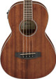 Ibanez PNB14E-OPN Electro Acoustic Bass Guitar in Open Pore Natural - 257479-1515070796257.jpg