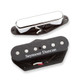Seymour Duncan Quarter Pound Tele Pickup Set - 440660-11208-14.jpg