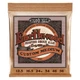 Ernie Ball Earthwood Custom Med Phos Bronze Acoustic Guitar Strings - 503891-1649168304590.jpg