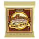 Ernie Ball Earthwood Rock Blues Strings - 277705-P02008.jpg