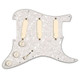 EMG DG20 David Gilmour Set of Pickups & Pickguard - 13487-EMGDG20_super.jpg