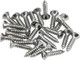 Fender Pickguard / Control Plate Mounting Screws 24 Pack - Chrome - 0994923000-Fender-Pickguard-Control-Plate-Mounting-Screws.jpg