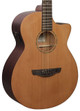 Faith Guitars Naked Series Venus Electro Acoustic in Cedar/Mahogany Satin - 286261-FKVCD - Copy.jpg
