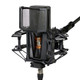 Lewitt Pure Tube Studio Set (PSU, Shockmount, Pop Filter, Transport Case) - PURETUBE-STUDIO-Lewitt-Puretube-Microphone-Valve-Stand.jpg