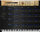 Roland Cloud SRX World Virtual Instrument Plugin - Lifetime Key - 413225-SRXWORLDPATCH.jpg