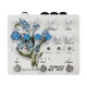 Alexander Pedals Forget Me Not Stereo Multi-Tap Delay Pedal - Alexander_ForgetMeNot_STOCK_1 copy.jpg