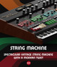 Eastwest String Machine  - 1181-113.jpg