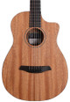 Furch Travel Series Pioneer-MM a Acoustic Guitar - PN-MM-A (1).jpg