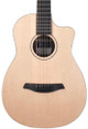 Furch Travel Series Pioneer-ER a Electro Acoustic Guitar - PN-ER-AE (1).jpg