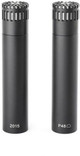 DPA ST2015 Stereo Pair with Holders and Windscreens - ST2015_1.jpg