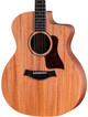 Taylor 24ce Grand Auditorium Electro Acoustic With Mahogany Top - 24CE-A (1)_compressed - Copy.jpg