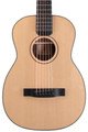 Furch Travel Series Little Jane LJ11-SR Foldable Electro Acoustic Guitar - LJ11-SR (1)__05837.jpg