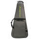 Strandberg Standard Gig Bag - BAGSTDJA-18-Front.jpg