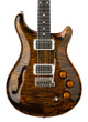 PRS DGT Semi-Hollow David Grissom Signature Electric Guitar in Tiger Eye with Moon Inlays - DGT Semi-Hollow Moons Tiger Eye-hero.jpg