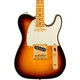 Fender 75th Anniversary American Professional Custom Telecaster Electric Guitar in 2-Colour Sunburst - 0171022703-Body.jpg